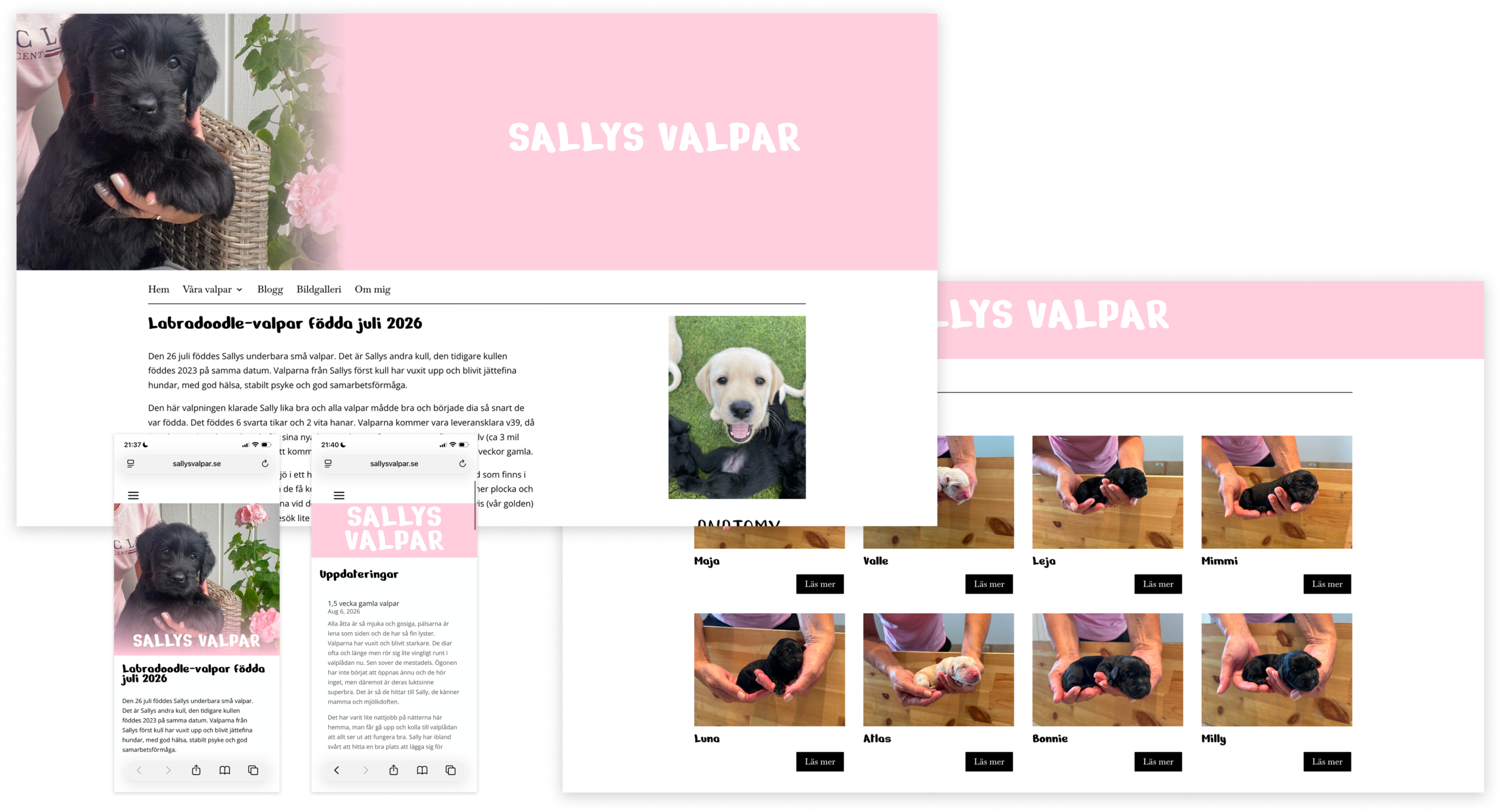 sallysvalpar